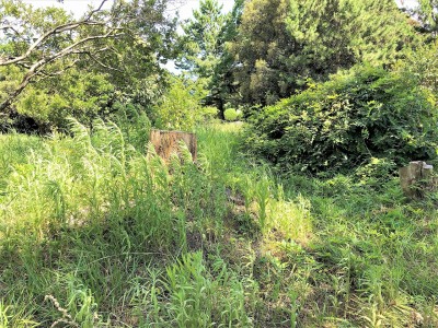 兵庫県　加古川市