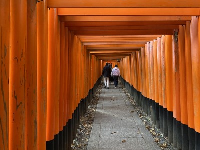 伏見稲荷大社　千本鳥居